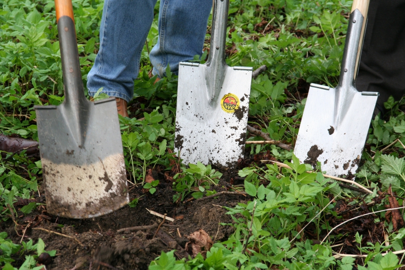 pepiniere-AURIBEAU SUR SIAGNE-min_work-lawn-flower-tool-green-backyard-1103633-pxhere.com